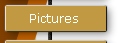 Pictures